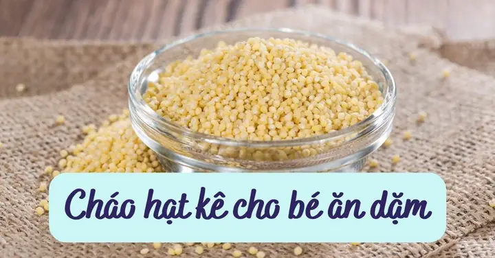 Cách Nấu Cháo Chó Đậu Xanh: Hướng Dẫn Chi Tiết Từ Nguyên Liệu Đến Thành Phẩm