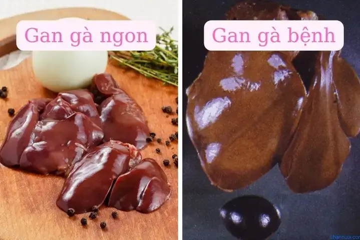 Cách Nấu Cháo Gan Vịt Cho Bé