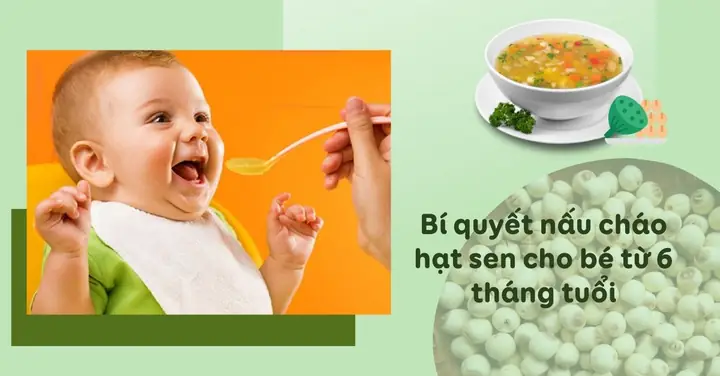 Cách Nấu Cháo Hạt Sen Khô Cho Bé: Hướng Dẫn Chi Tiết Từ Chuyên Gia Dinh Dưỡng