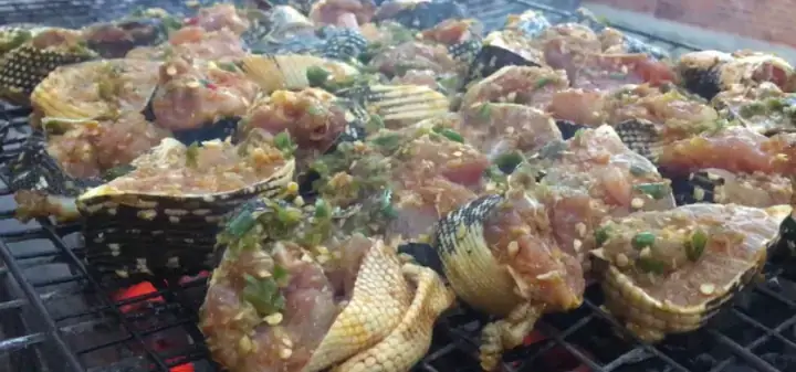 Cách Nấu Cháo Kỳ Đà Cho Bé