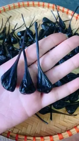 Cách Nấu Cháo Kỳ Đà Cho Bé