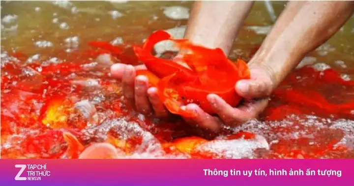 Cách Nấu Cháo Mật Cúng Ông Táo Chuẩn Nhất Cho Ngày Tiễn Táo Quân Về Trời
