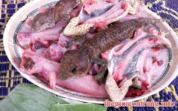 Cách Nấu Cháo Tắc Kè Thơm Ngon Bổ Dưỡng Cho Người Suy Nhược