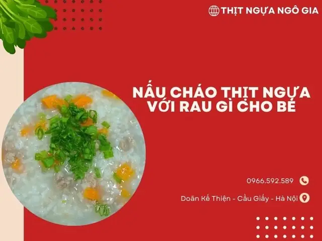 Cách Nấu Cháo Thịt Ngựa Cho Bé Dinh Dưỡng Và An Toàn