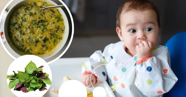Cách Nấu Cháo Thịt Tía Tô Thơm Ngon, Bổ Dưỡng Cho Người Ốm Và Trẻ Nhỏ