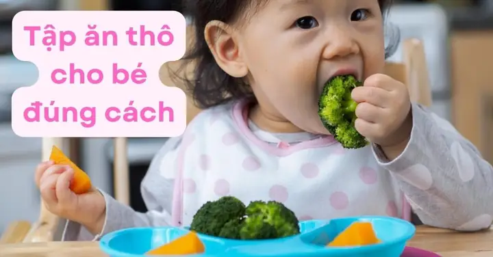 Cách Nấu Cháo Thô Cho Bé: Hướng Dẫn Chi Tiết Từ Dinh Dưỡng Đến Thực Hành