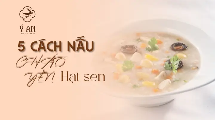 Cách Nấu Cháo Tổ Yến Hạt Sen Thơm Ngon Bổ Dưỡng Cho Mọi Nhà Cách Nấu Cháo Tổ Yến Hạt Sen Thơm Ngon Bổ Dưỡng Cho Mọi Nhà