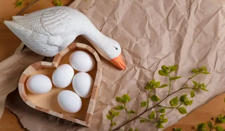 Cách Nấu Cháo Trứng Ngỗng Cho Bé