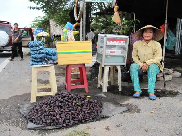 Cách Nấu Chè Củ Ấu Thơm Ngon, Bùi Bùi Chuẩn Vị Miền Tây
