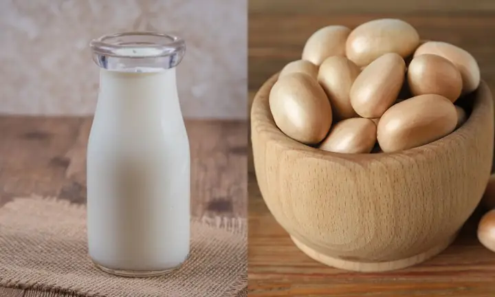 Cách Nấu Chè Hạt Mít Béo Ngậy, Thơm Ngon Chuẩn Vị Tại Nhà