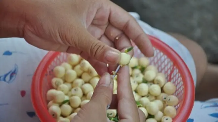 Cách Nấu Chè Hạt Sen Không Bị Đục