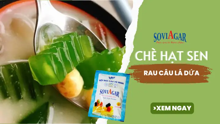 Cách Nấu Chè Hạt Sen Thạch Rau Câu Ngon Mát Giải Nhiệt Ngày Hè