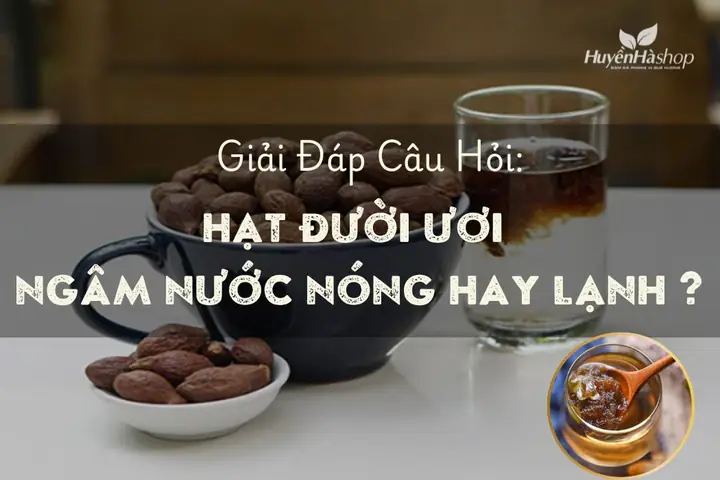 Cách Nấu Chè Hạt Ươi Chuẩn Vị Miền Nam, Thanh Mát Giải Nhiệt