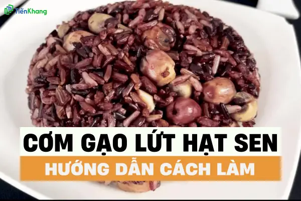 Cách Nấu Cơm Hạt Sen Thơm Ngon, Bùi Bùi Chuẩn Vị Cách Nấu Cơm Hạt Sen Thơm Ngon, Bùi Bùi Chuẩn Vị