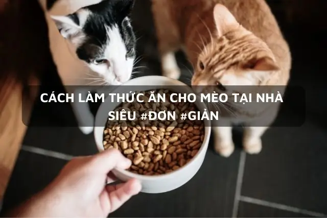Cách Nấu Đồ Ăn Cho Mèo An Toàn Và Bổ Dưỡng Tại Nhà