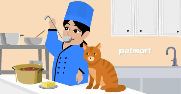 Cách Nấu Đồ Ăn Cho Mèo An Toàn Và Bổ Dưỡng Tại Nhà