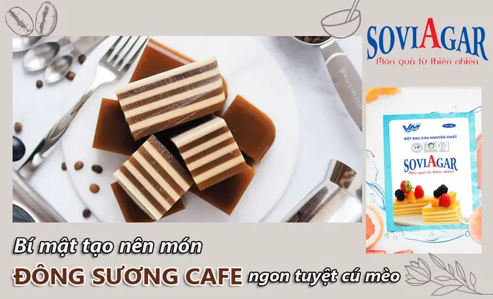 Cách Nấu Đông Sương Agar Chuẩn Vị, Dai Giòn Sần Sật Cho Ngày Tết