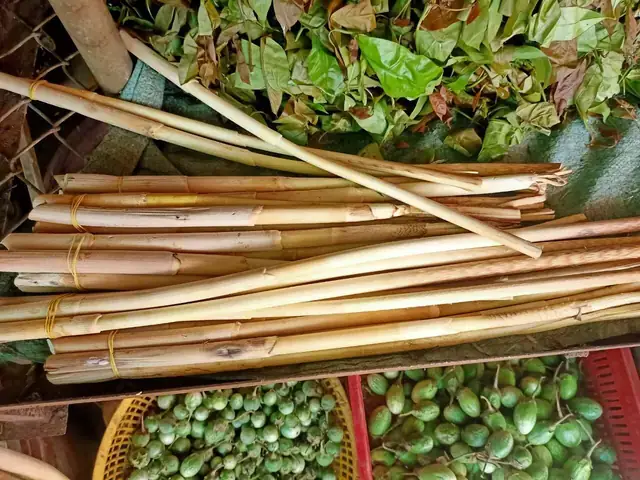 Cách Nấu Đọt Mây Lá Nhíp Chuẩn Vị, Bổ Dưỡng Cho Bữa Cơm Gia Đình