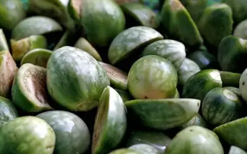 Cách Nấu Ếch Om Cà Đắng Thơm Ngon Chuẩn Vị Miền Tây