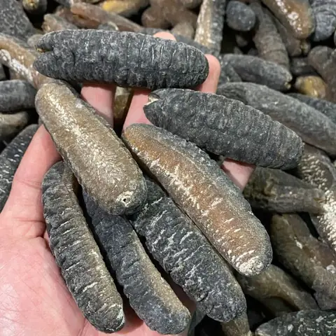 Cách Nấu Hải Sâm Khô Chuẩn Vị Bổ Dưỡng Cho Bữa Cơm Gia Đình