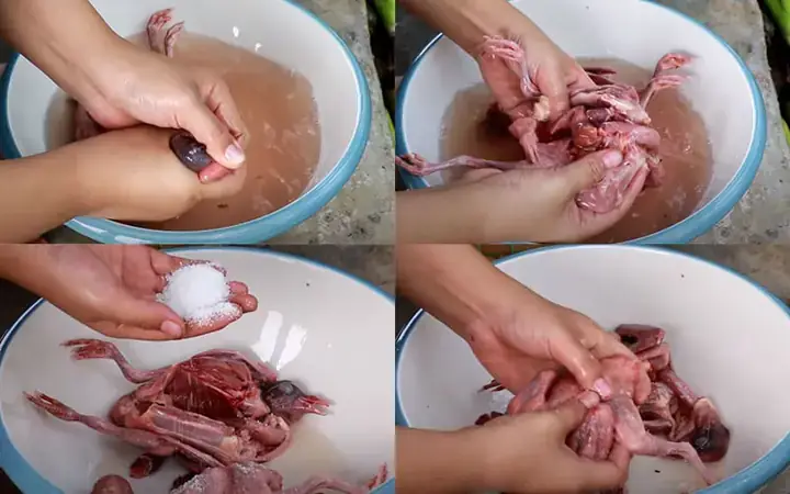 Cách Nấu Lẩu Bồ Câu Băm Thơm Ngon, Bổ Dưỡng Cho Bữa Cơm Gia Đình
