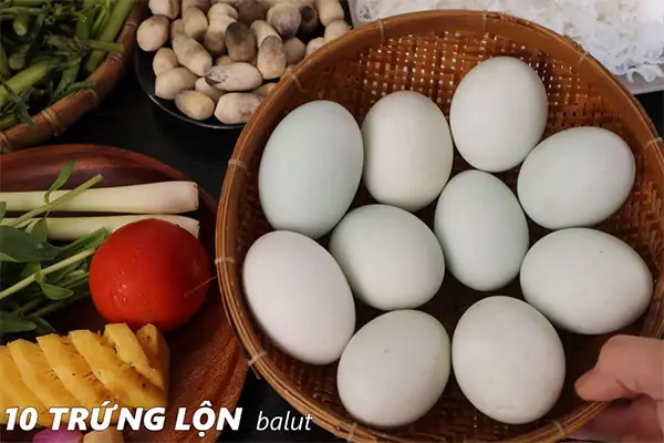 Cách Nấu Lẩu Hột Vịt Lộn Mồng Tơi Thơm Ngon Bổ Dưỡng Cho Ngày Se Lạnh