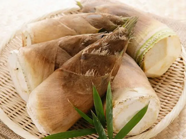 Cách Nấu Măng Không Đắng: 5 Bước Đơn Giản Cho Món Ngon Tuyệt Hảo Cách Nấu Măng Không Đắng: 5 Bước Đơn Giản Cho Món Ngon Tuyệt Hảo