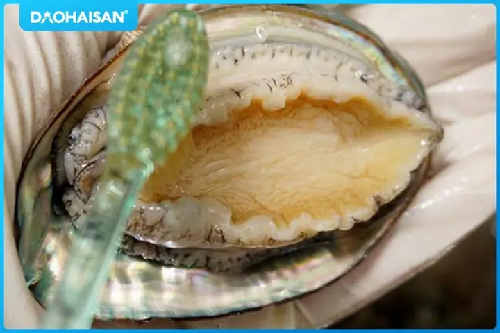 Cách Nấu Mì Bào Ngư Chuẩn Vị Nhà Hàng, Thơm Ngon Bổ Dưỡng