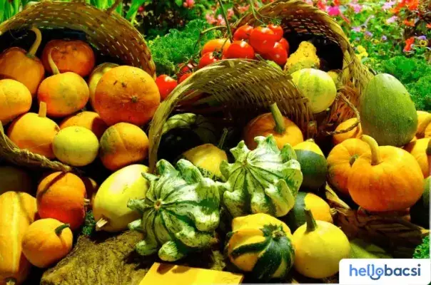 Cách Nấu Món Ăn Tốt Cho Sức Khỏe: Hướng Dẫn Chi Tiết Từ Nguyên Tắc Đến Thực Hành