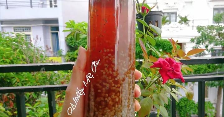 Cách Nấu Nước Sâm Hạt É Thanh Mát, Giải Nhiệt Cho Ngày Hè Cách Nấu Nước Sâm Hạt É Thanh Mát, Giải Nhiệt Cho Ngày Hè