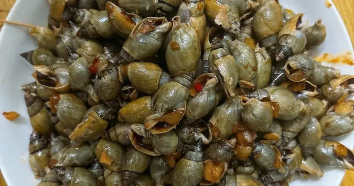 Cách Nấu Ốc Cà Na Ngon Chuẩn Vị, Không Tanh, Không Đắng