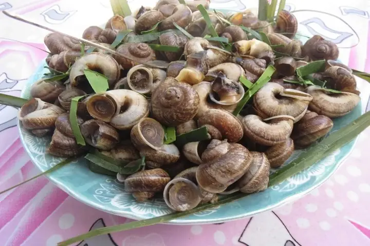 Cách Nấu Ốc Đá Ngon Chuẩn Vị, Đậm Đà Từ Chuyên Gia Ẩm Thực