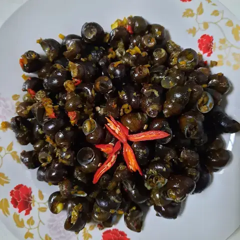 Cách Nấu Ốc Gạo Biển Ngon Chuẩn Vị, Đơn Giản Tại Nhà