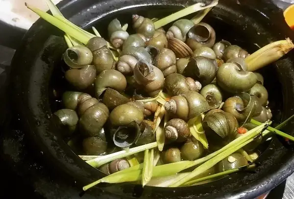 Cách Nấu Ốc Gạo Ngon Chuẩn Vị, Dễ Làm Tại Nhà