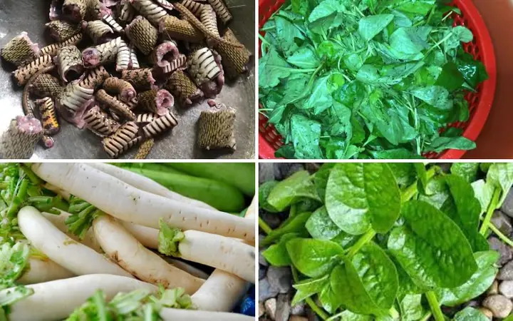 Cách Nấu Rắn Canh Gừng Thơm Ngon Bổ Dưỡng Cho Bữa Cơm Gia Đình