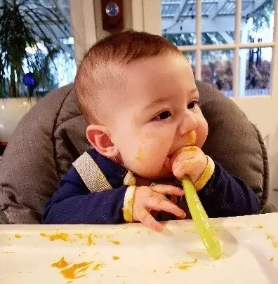 Cách Nấu Rắn Với Gà: Hướng Dẫn Chi Tiết Và An Toàn Cho Món Ăn Đặc Sản