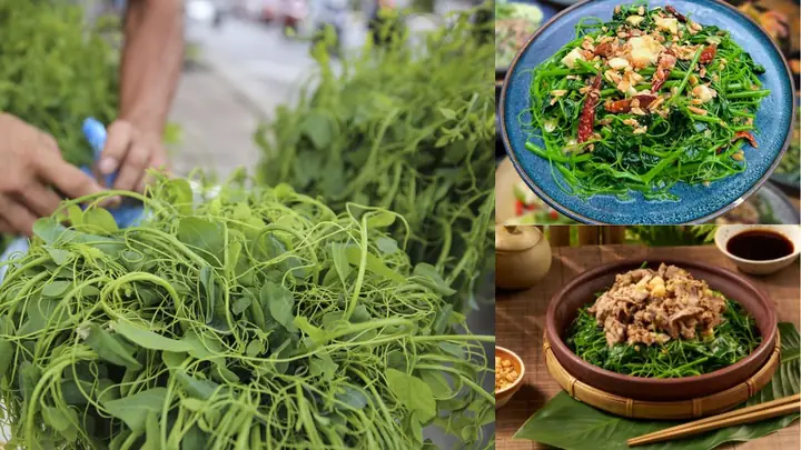 Cách Nấu Rau Bò Khai: Hướng Dẫn Chi Tiết Từ A-z Cho Món Ngon Dân Dã Cách Nấu Rau Bò Khai: Hướng Dẫn Chi Tiết Từ A-z Cho Món Ngon Dân Dã