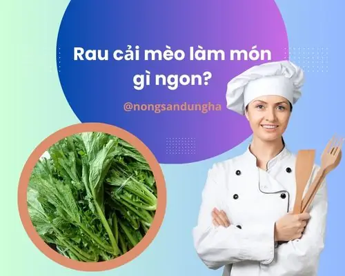 Cách Nấu Rau Cải Mèo Chuẩn Vị Và Bổ Dưỡng Cho Bữa Cơm Gia Đình