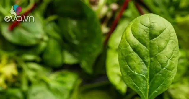 Cách Nấu Rau Chân Vịt Cho Bà Bầu: Hướng Dẫn Chi Tiết Và An Toàn Cách Nấu Rau Chân Vịt Cho Bà Bầu: Hướng Dẫn Chi Tiết Và An Toàn