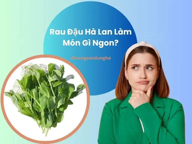 Cách Nấu Rau Đậu Hà Lan Thanh Mát, Bổ Dưỡng Cho Bữa Cơm Gia Đình