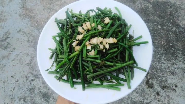 Cách Nấu Rau Dớn Xào Tỏi Ngon Chuẩn Vị, Giữ Được Độ Giòn Tươi