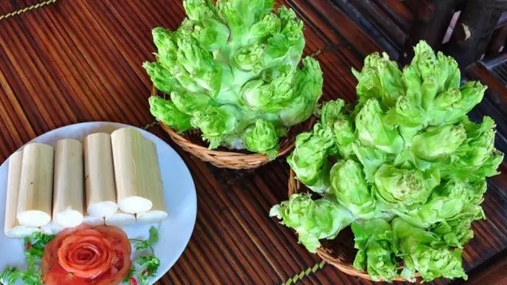 Cách Nấu Rau Mầm Đá Chuẩn Vị Ngon, Giữ Trọn Dinh Dưỡng