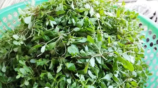 Cách Nấu Rau Sắn Với Tép Ngon Chuẩn Vị Quê