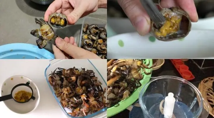 Cách Nấu Riêu Cua Dấm Bỗng Chuẩn Vị Bắc, Đậm Đà Hương Thơm