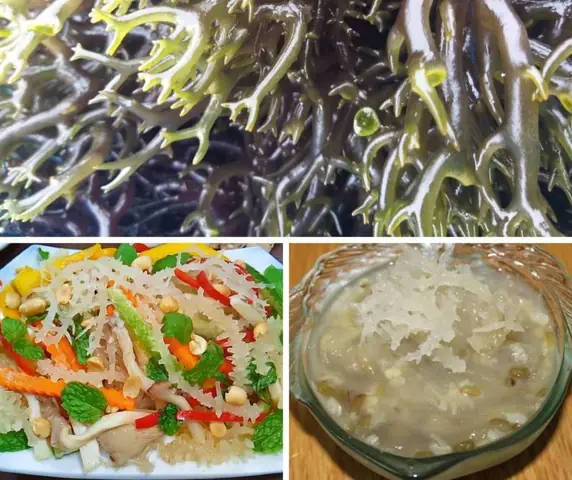 Cách Nấu Rong Sụn Khô Chuẩn Vị, Bổ Dưỡng Cho Cả Gia Đình Cách Nấu Rong Sụn Khô Chuẩn Vị, Bổ Dưỡng Cho Cả Gia Đình