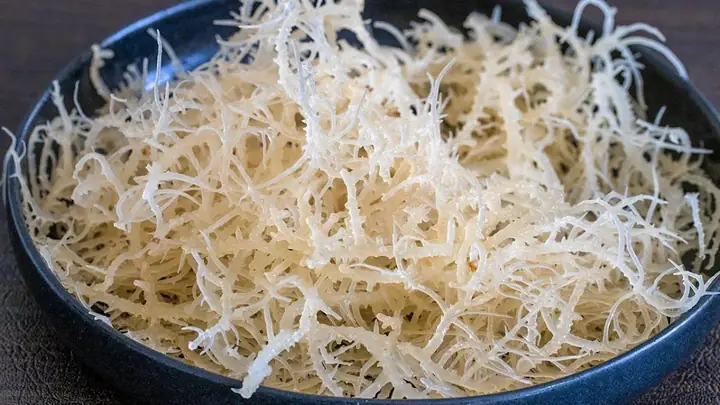 Cách Nấu Rong Sụn Khô Chuẩn Vị, Bổ Dưỡng Cho Cả Gia Đình Cách Nấu Rong Sụn Khô Chuẩn Vị, Bổ Dưỡng Cho Cả Gia Đình