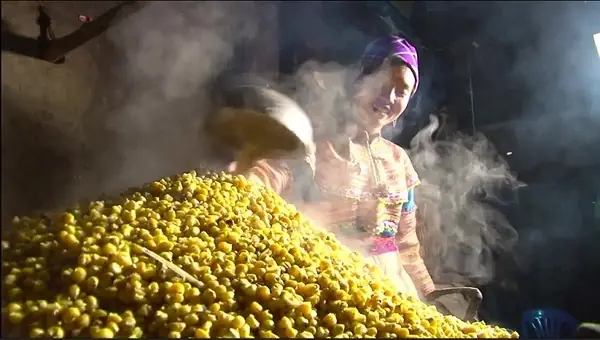 Cách Nấu Rượu Ngô Hà Giang Chuẩn Vị, An Toàn Và Hiệu Quả