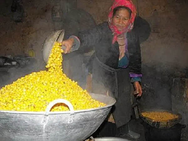 Cách Nấu Rượu Ngô Hà Giang Chuẩn Vị, An Toàn Và Hiệu Quả