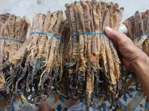 Cách Nấu Sá Sùng Khô Chuẩn Vị, Thơm Ngon Bổ Dưỡng Cho Bữa Cơm Gia Đình
