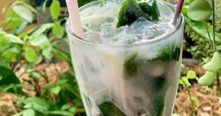 Cách Nấu Sâm Nha Đam Thanh Mát Giải Nhiệt Cho Ngày Hè